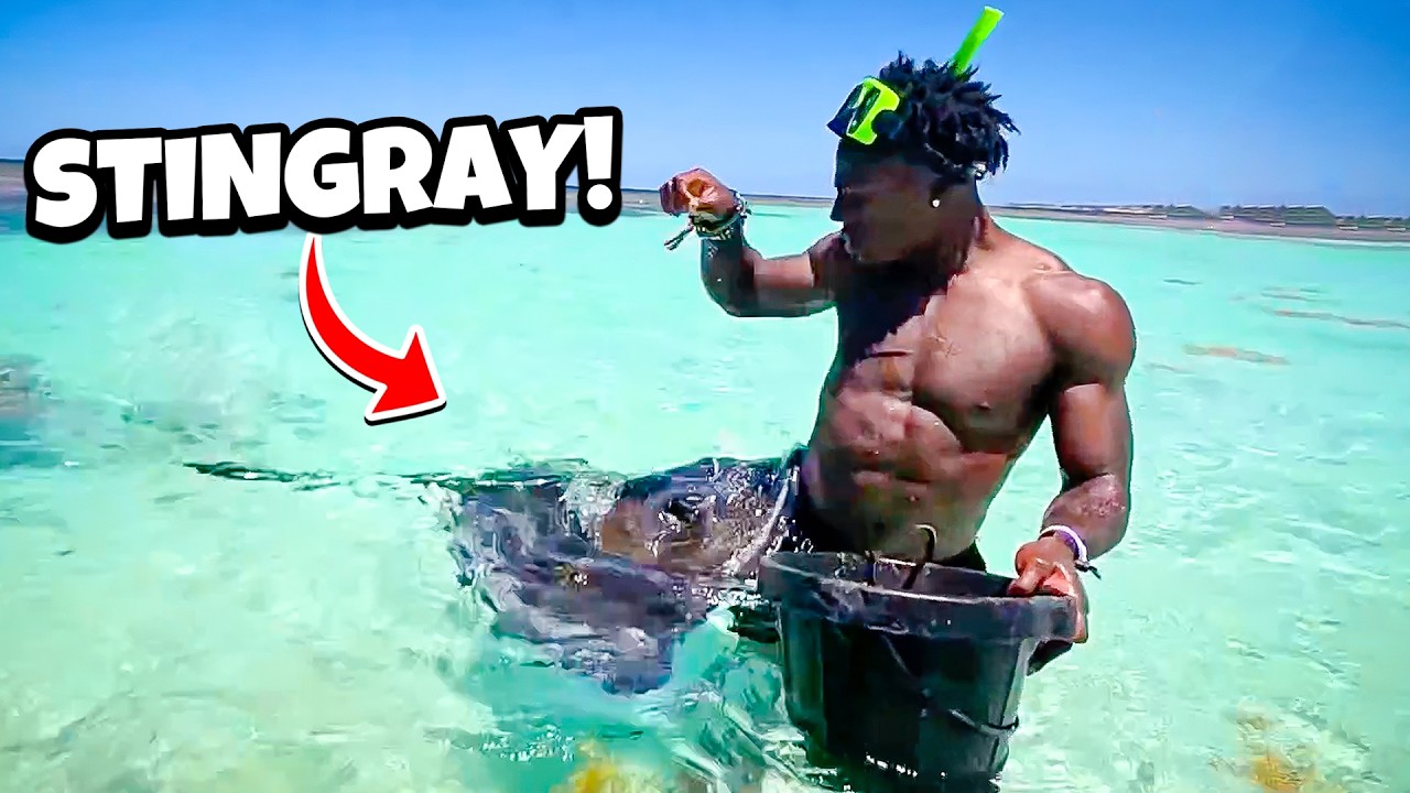iShowSpeed Swims with Stingrays! (GONE WRONG)