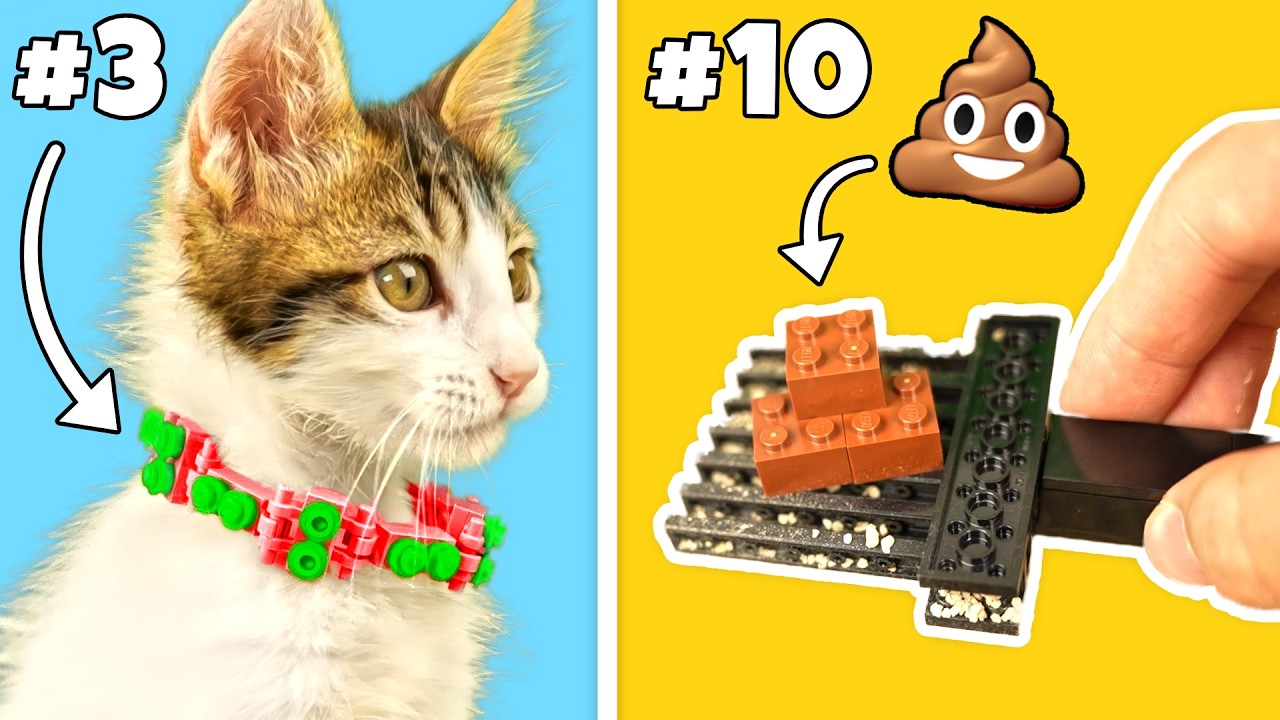 LEGO BUILDS for a CAT 🐱 background