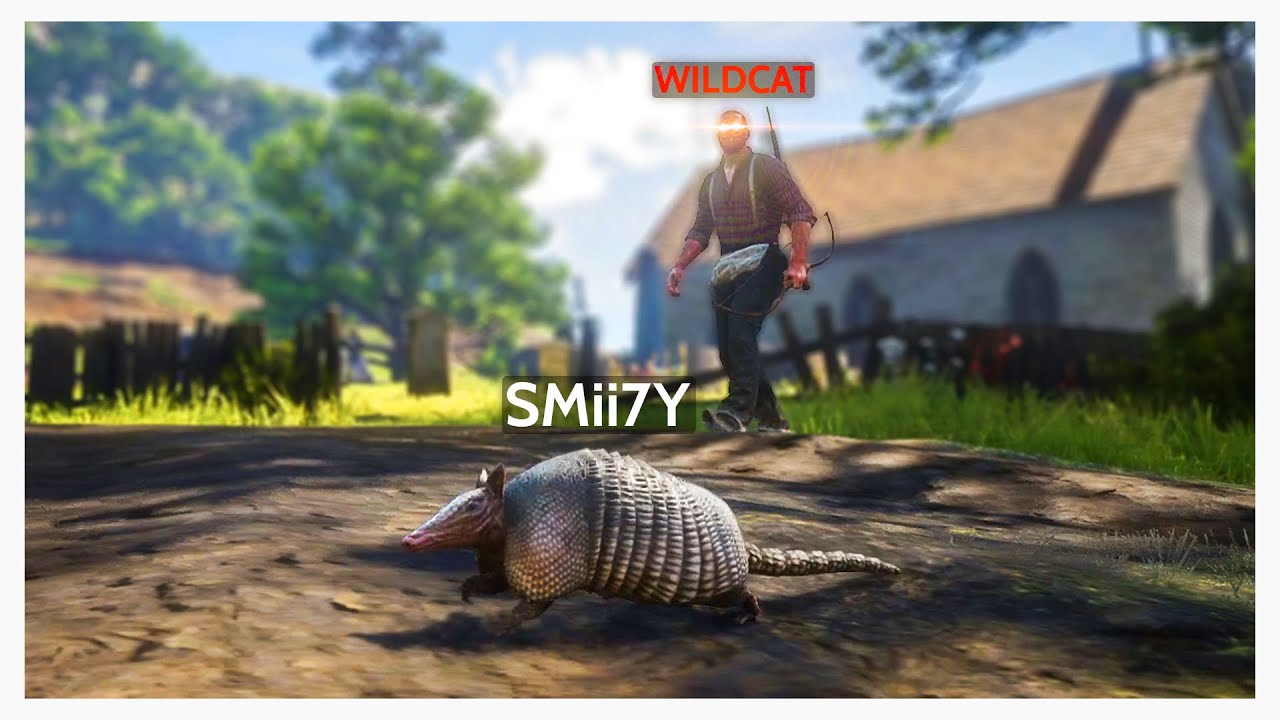 Modded Red Dead Online is nothing but CHAOS