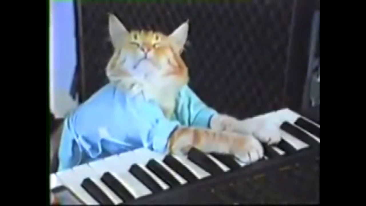 Keyboard Cat 8 Bit Music Montage background