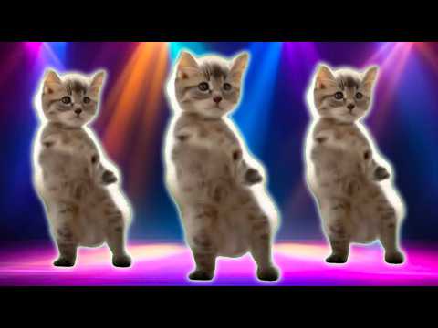 Cosmic Cats Song - The Singing Cat Catchy Tune background