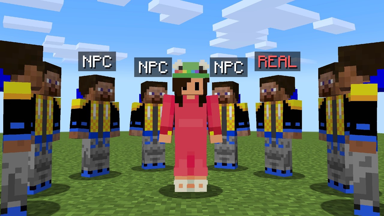 Lifesteal SMP VS Secret Hunter background