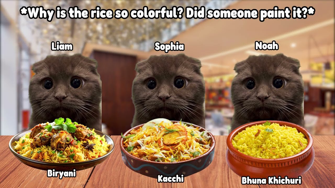 FUNNY CAT FAMILY TRIP TO BANGLADESH (ANIMATED STORY) backdrop