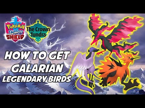 How To Get Galatians Birds || Poke Explorer || New 3D Pokemon Game background