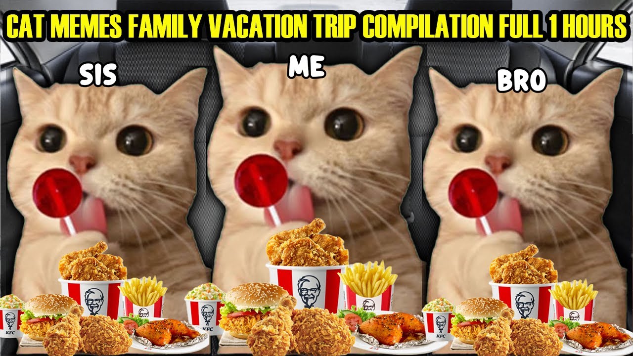 CAT MEMES FAMILY VACATION TRIP COMPILATION FULL 1 HOURS background