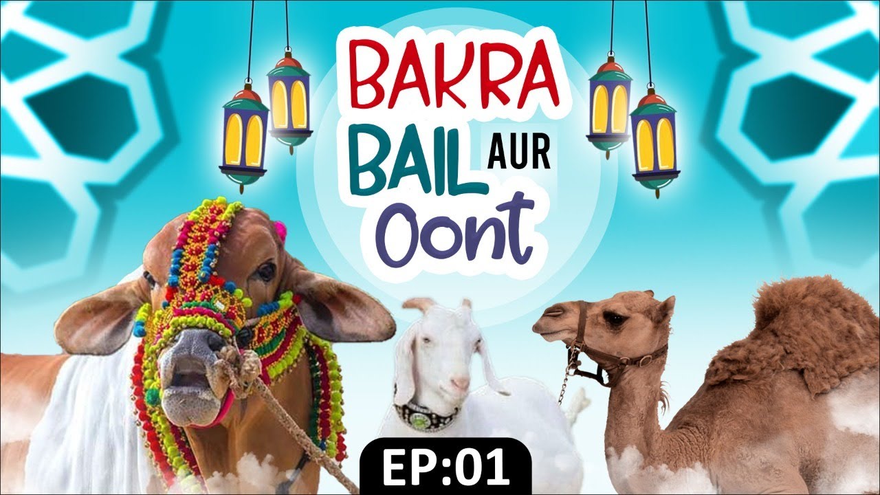 Bakra, Bail Aur Oont