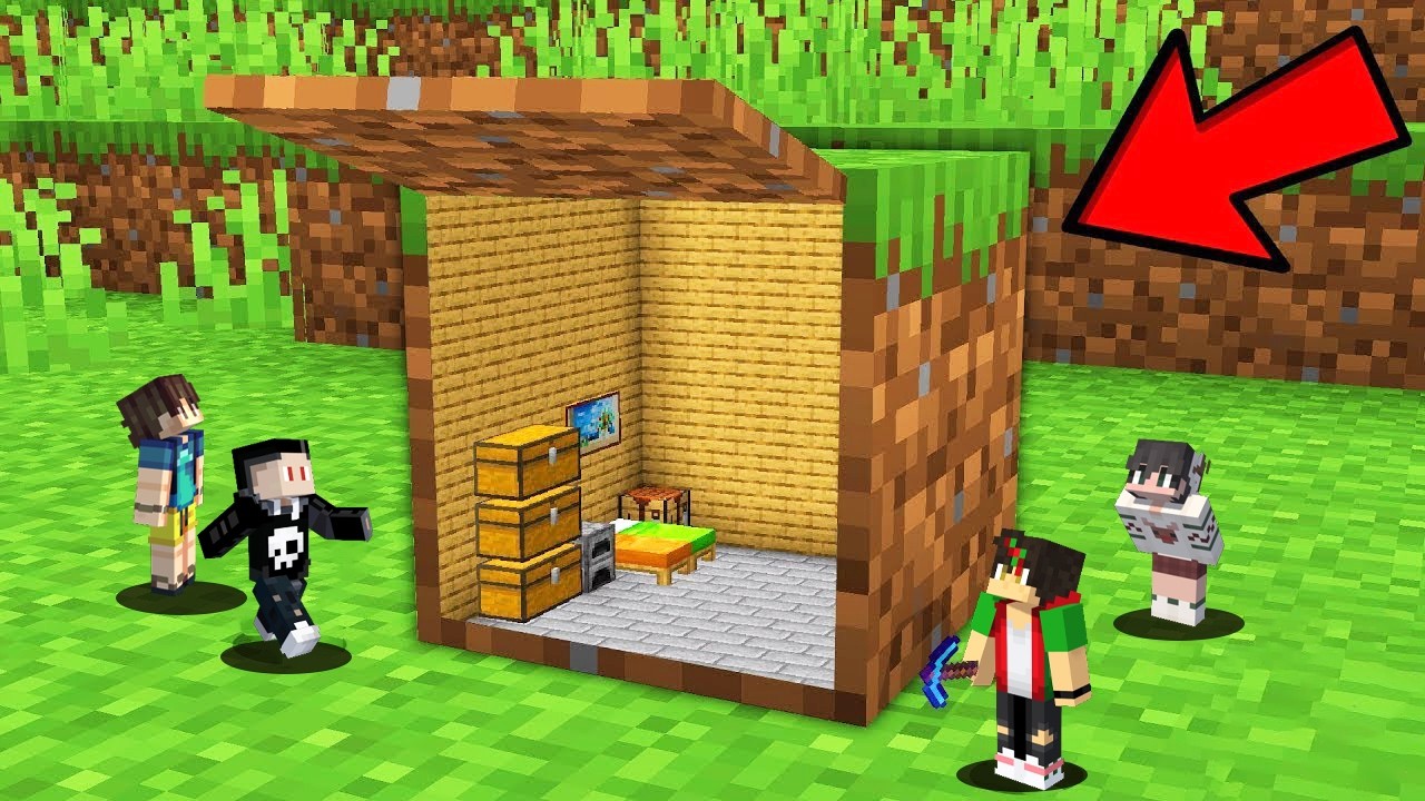 I Built Inside Minecraft Blocks To Hide For 100 Day's in Minecraft