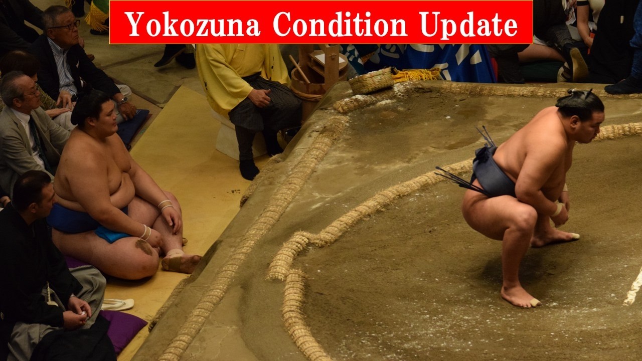How have the Yokozuna looked this week? (Sumo News, May 7th)