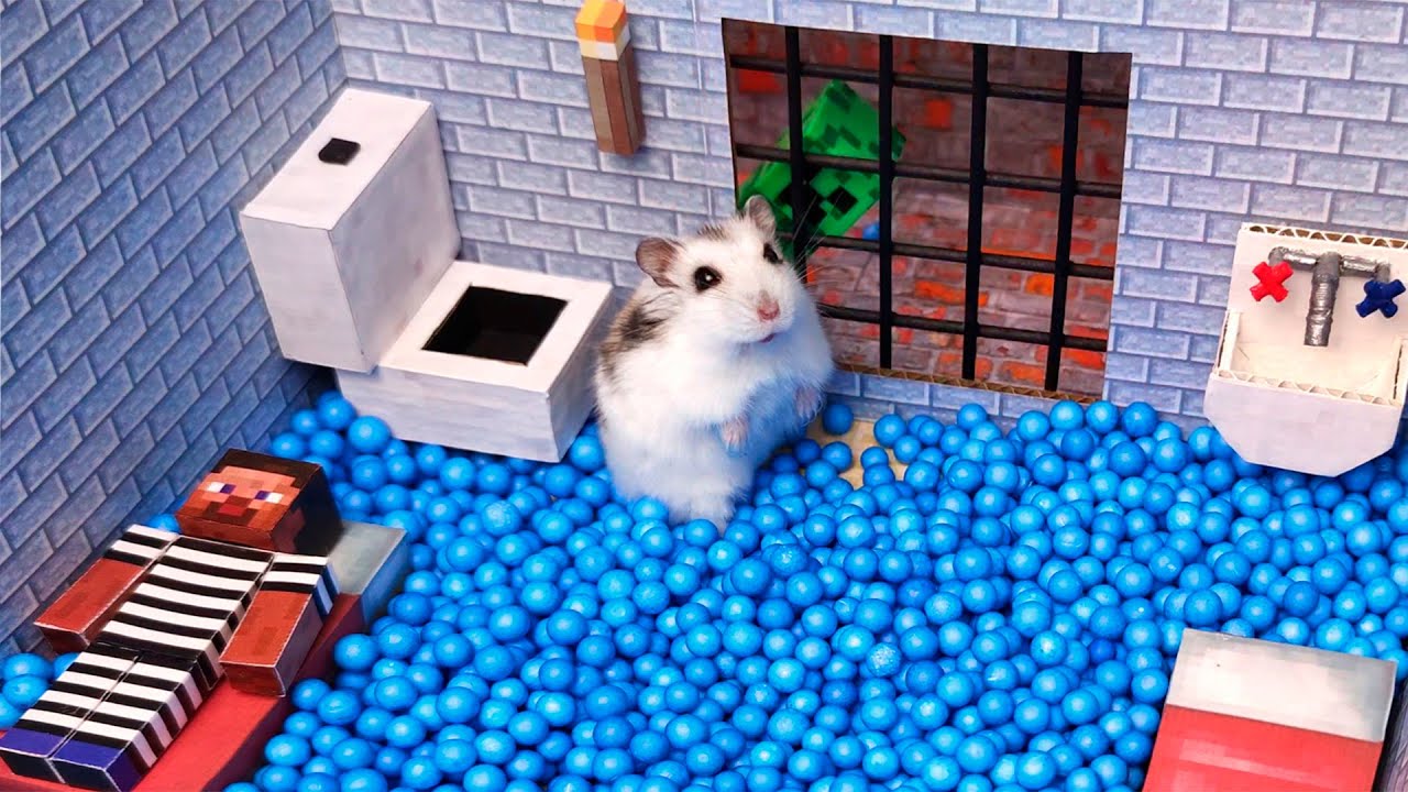 Hamster Escapes The Awesome Minecraft Maze With Obstacle Course background