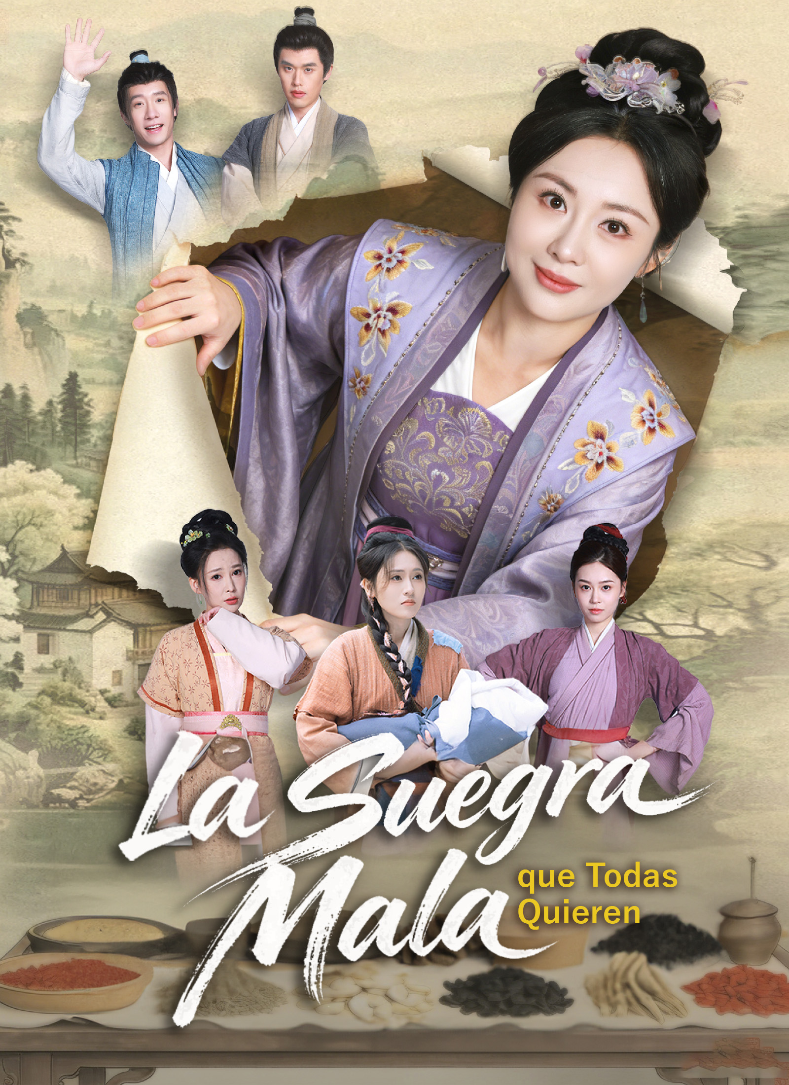 La Suegra Mala que Todas Quieren poster
