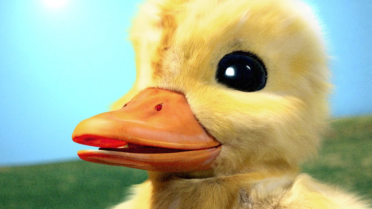 The Duck Song IRL background