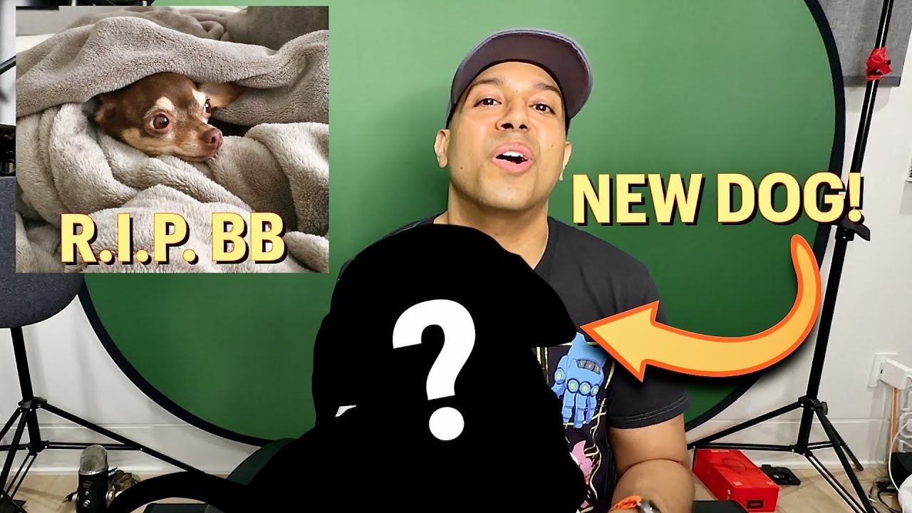 I GOT A NEW DOG!! (R.I.P. BB)