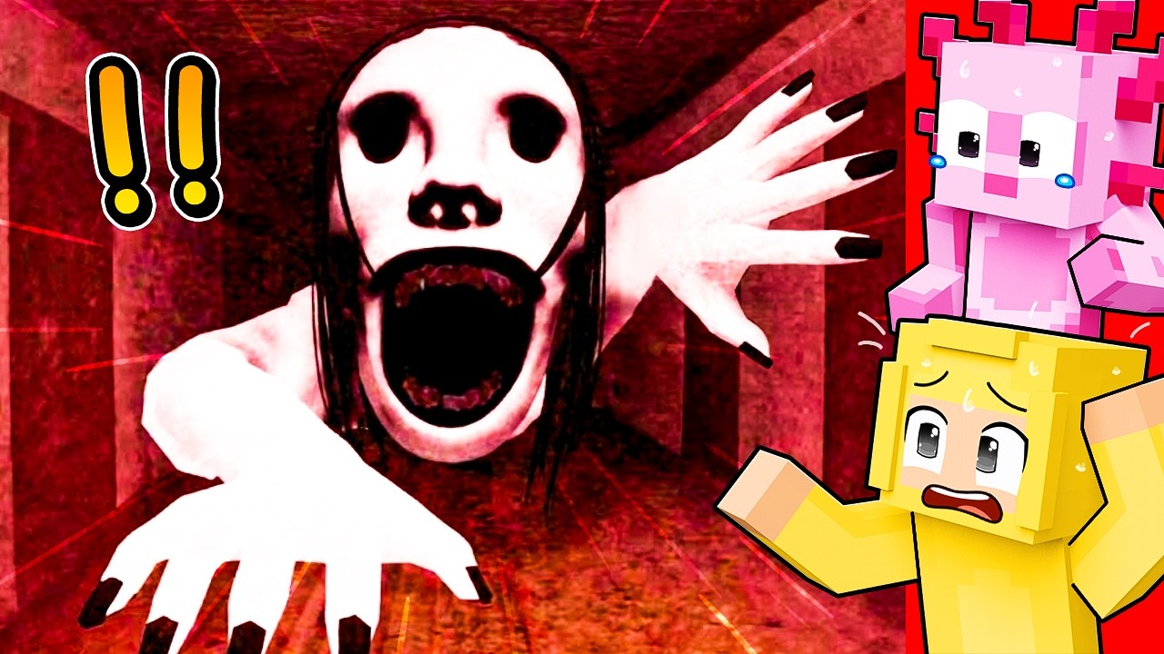 I Pranked My Friends With PETAPETA MONSTER in Minecraft! background