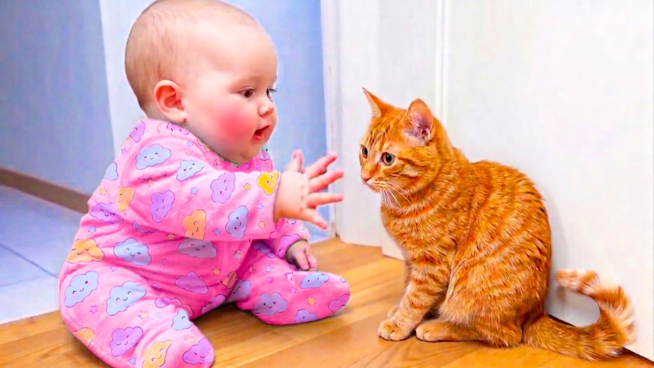 Cute Baby and Cat’s Sweet Friendship Will Melt Your Heart | Baby Hub