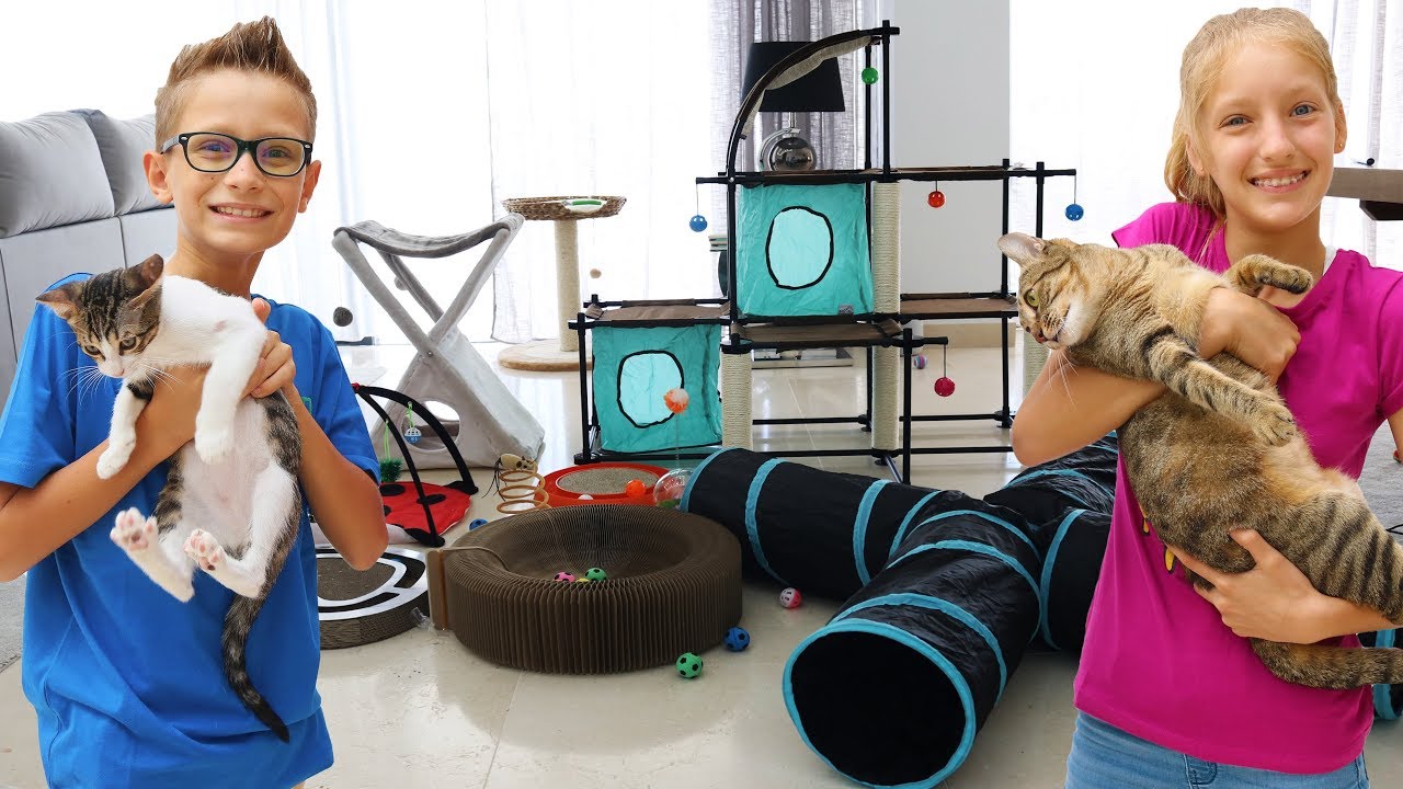 Testing Cat Toys on our Cats!!!! background