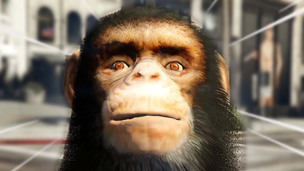 I got a pet monkey... | GTA 5 THUG LIFE #483 background
