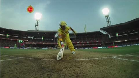 M53: RCB vs CSK – Suresh Raina Wicket background