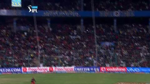 M60: RCB vs SRH – Shikhar Dhawan Wicket background
