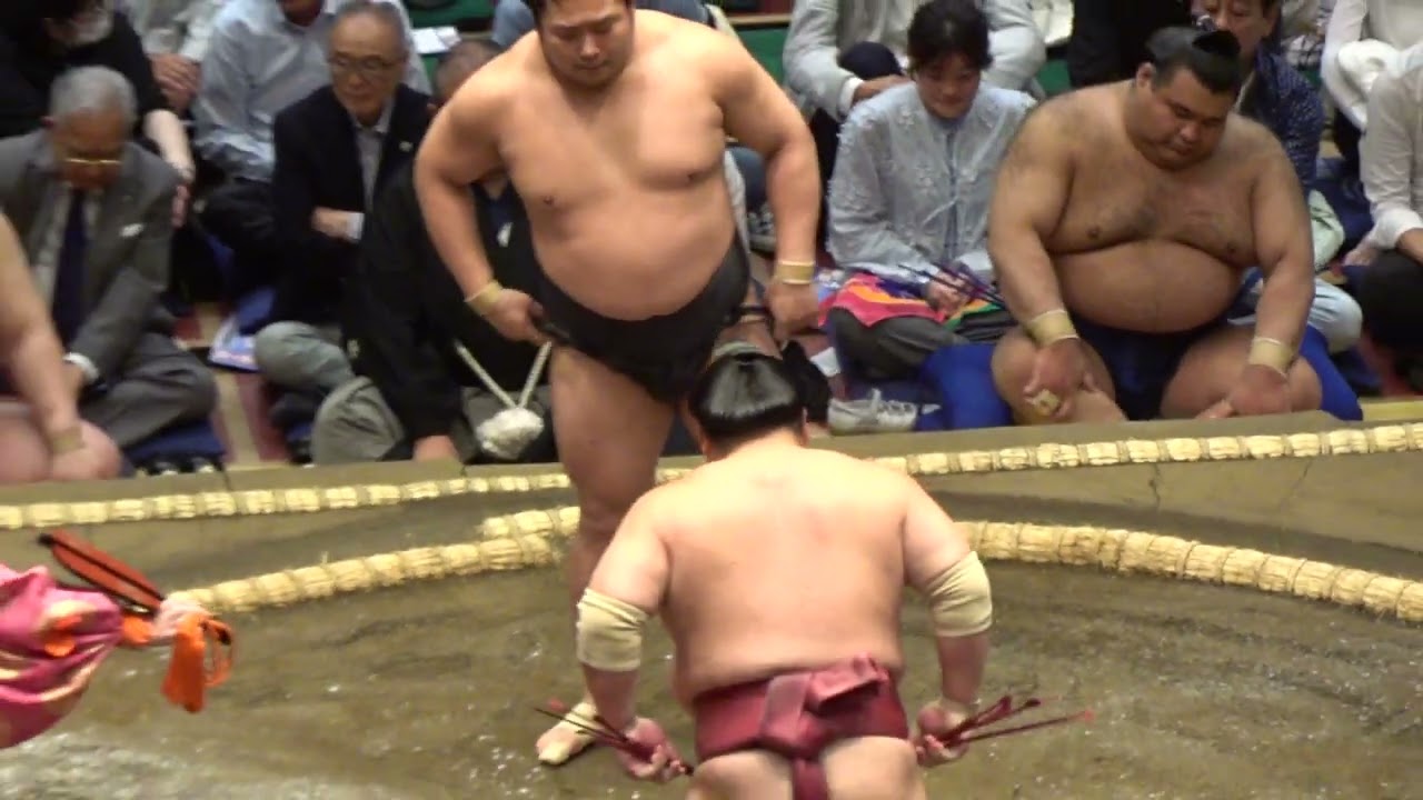 若元春 vs 大栄翔【大相撲令和8年5月場所】2日目 夏場所 WAKAMOTOHARU DAIEISHO【SUMO MAY DAY2】2026/05/11