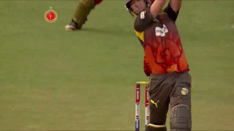 M9: RCB vs SRH – Cameron White Wicket
