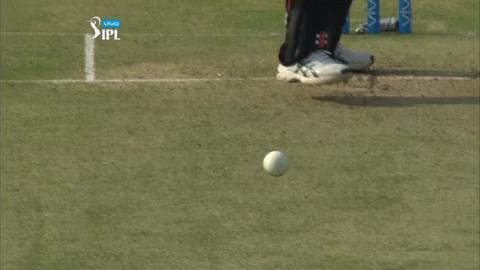 M8: SRH vs KKR – David Warner Wicket background