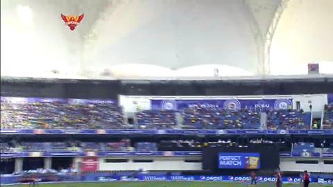 M12: SRH vs DD – Kevin Pietersen Wicket background