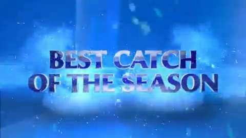 IPL 2014: Best Catch of the Season