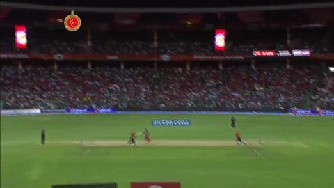 M24: RCB vs SRH– Shikhar Dhawan Wicket
