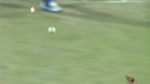 M32: DD vs SRH – JP Duminy Wicket
