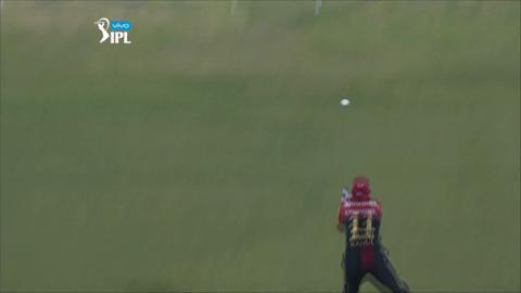 M56: DD vs RCB – Rishabh Pant Wicket background