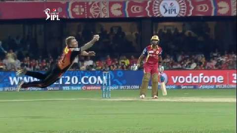 M8: RCB vs SRH – Warner plucks a one-handed catch