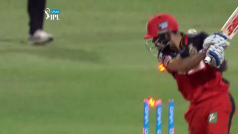 M60: RCB vs SRH – Virat Kohli Wicket background
