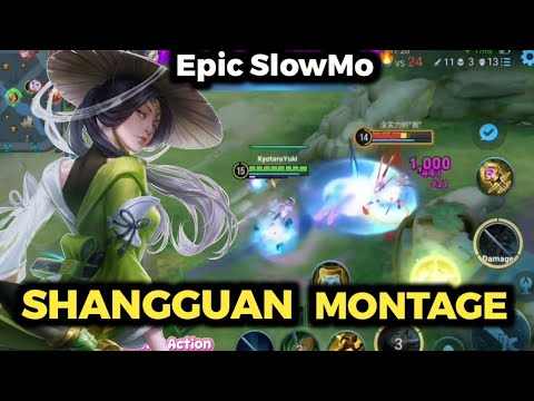 Shangguan Sirius Artist in Full Burst Mode | HoK Epic Skin Kills Highlights