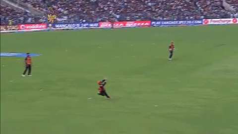 M55: KKR vs SRH – Freecharge Bolt Moment – Kane Williamson