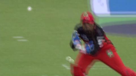 M35: RCB vs RPS – George Bailey Wicket
