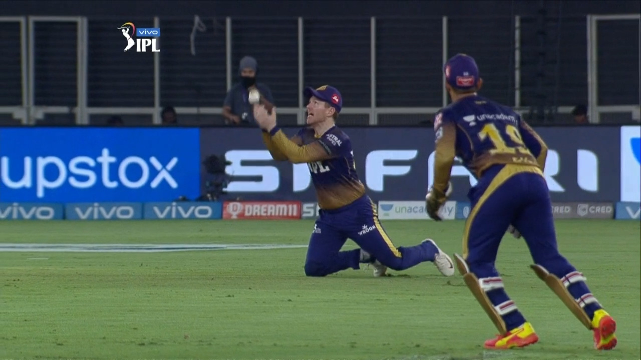 Captain Morgan's sharp catch