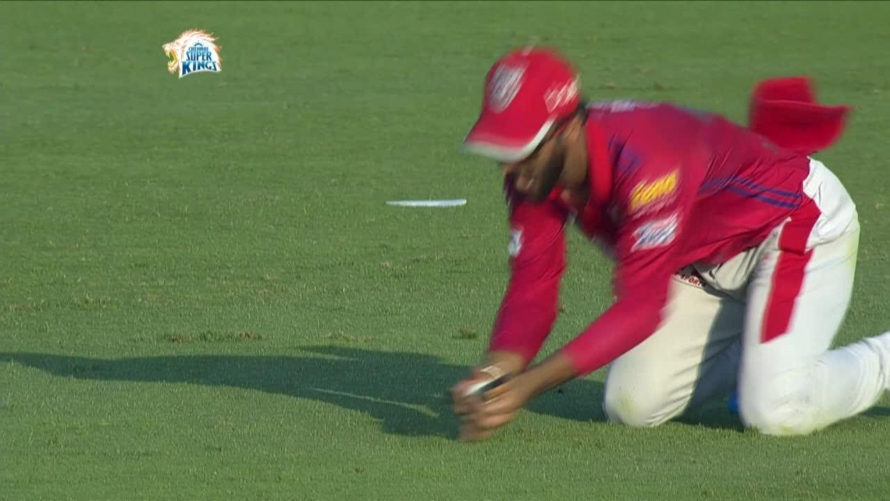 Out or Not out? You decide