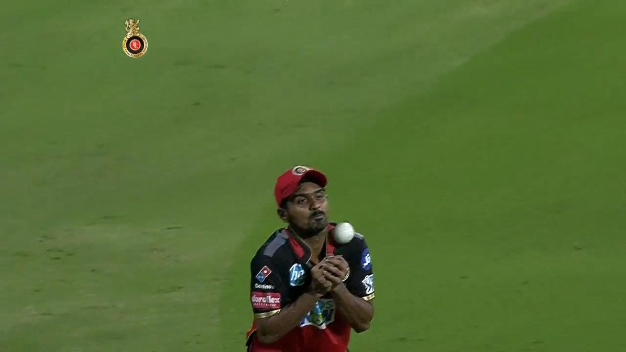 M Ashwin's pop-a-doodle-doo