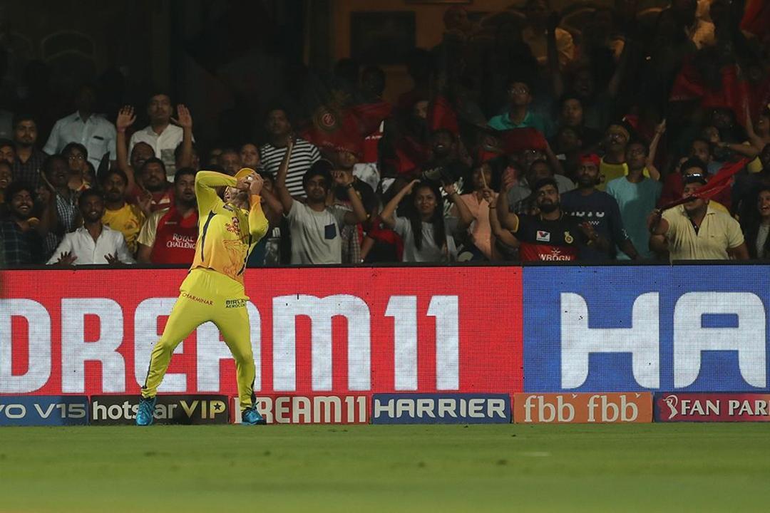 Faf's ice-cool catch at the boundary background