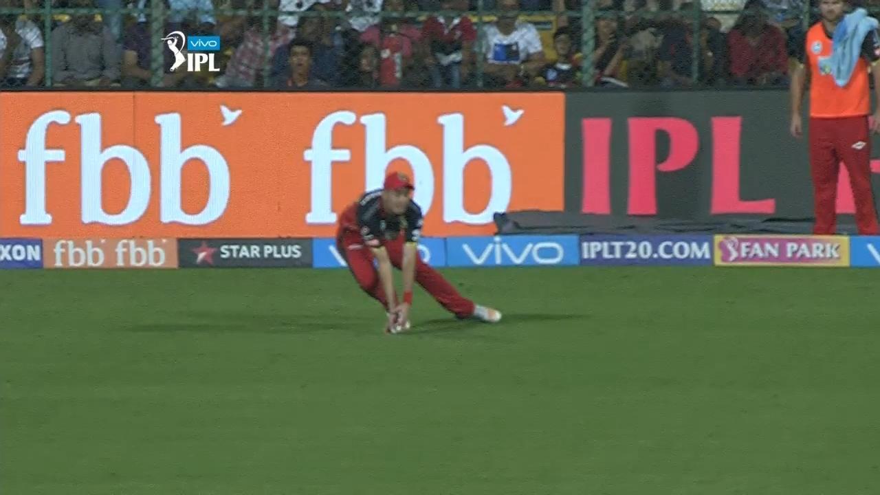 On-field drama. Out or Not Out?