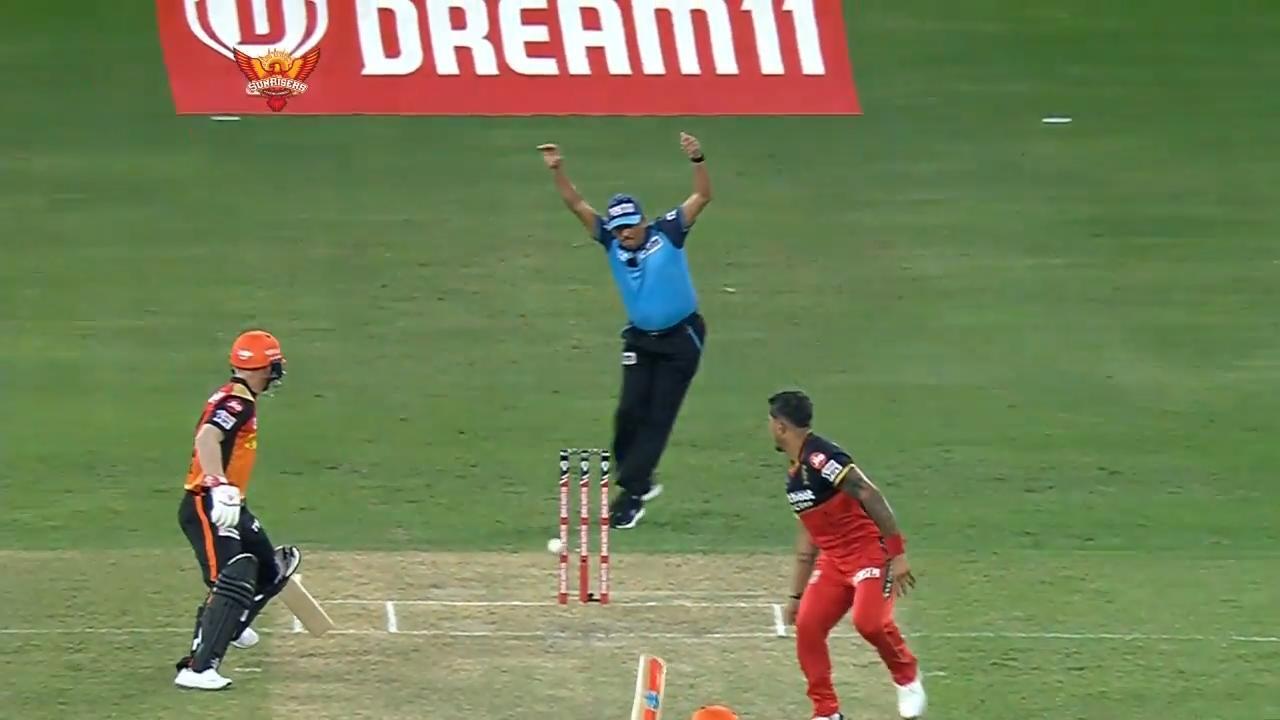 That unlucky Warner run-out background