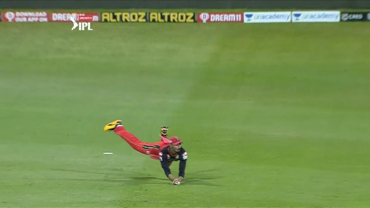 Padikkal's beauty of a catch