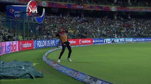 M32: DD vs SRH– Dale Steyn's Superb Catch background