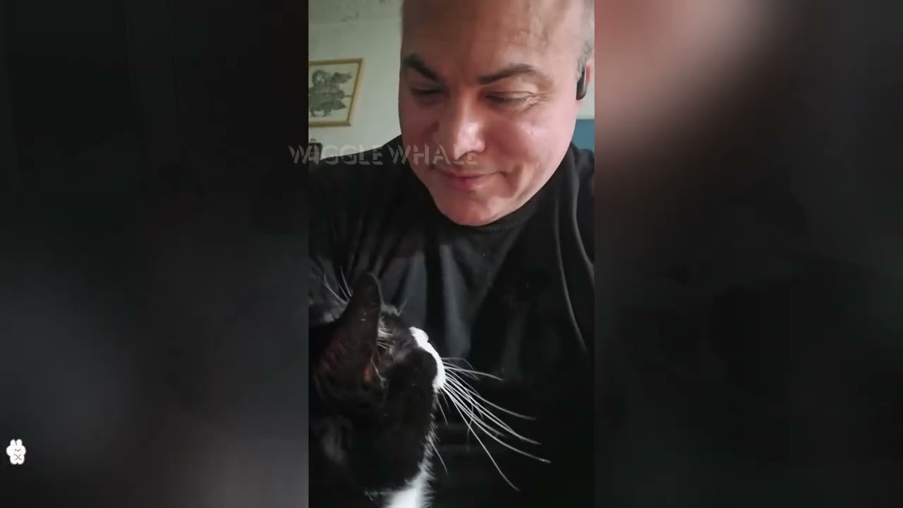 He Was Waiting Alone Until THIS Happened! ЁЯРИ background