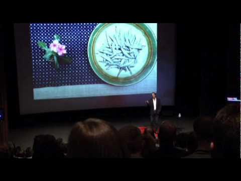 TED Talks for living to 100 years old and beyond