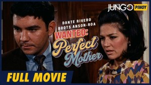 Wanted Perfect Mother
