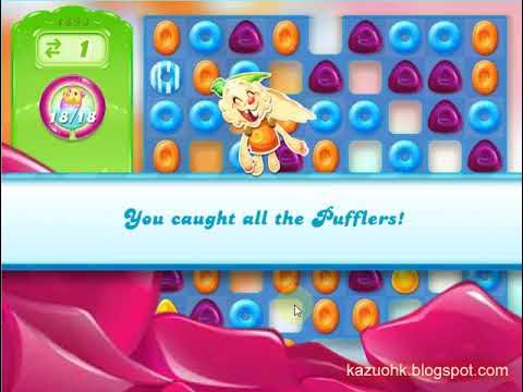 Candy Crush Jelly Saga Level 4893 🎁 No boosters ✔ Walkthrough Gameplay