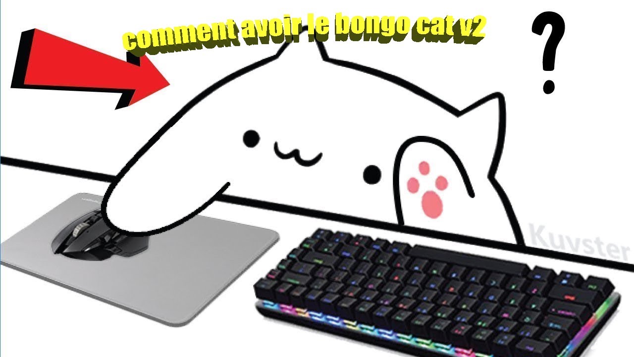 Comment avoir le bongo cat v2 ! background
