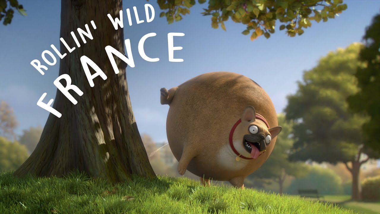 Rollin' France - what if animals were round? background