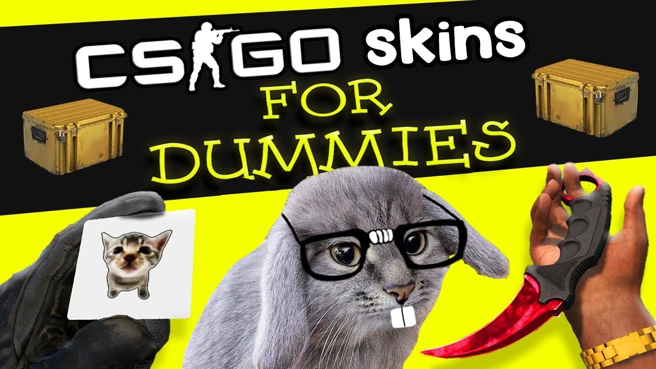 CS:GO Skins For Dummies background